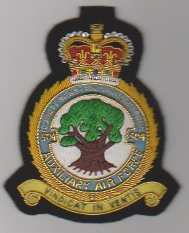 504 Sqdn County of Nottingham QC RAF Aux blazer badge - Click Image to Close